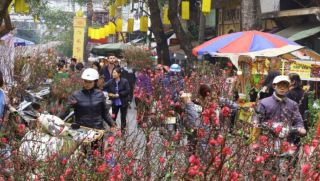 Dự báo thời tiết từ nay đến mùng 6 Tết 2026: Miền Bắc rét đậm rét hại, miền Nam trái ngược hoàn toàn