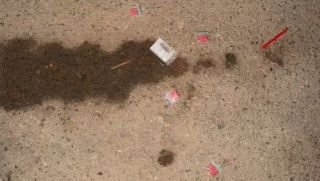 Bắt quả tang 3 thanh niên làm điều đáng xấu hổ trong nhà nghỉ, 1 người nhảy từ tầng 2 để bỏ chạy