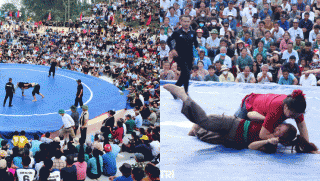 Tình hình của nữ đô vật ở hội làng Nghệ An sau khi bị đối thủ quật mạnh phải lập tức dừng trận đấu