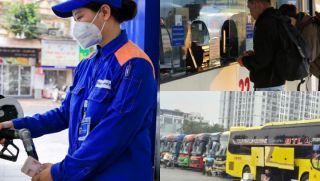 Giá xăng dầu bật tăng, nhiều xe khách cắt chuyến, tạm dừng hoạt động vì càng chạy càng lỗ