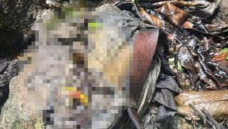 Xác minh danh tính bộ xương người ở bìa rừng Quảng Ngãi, phát hiện dậu hiệu lạ tại hiện trường 