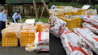 Hà Tĩnh: Phát hiện xe tải chở hơn 2,6 tấn nội tạng, xương động vật không rõ nguồn gốc