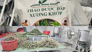 Tiếp tục lật tẩy chiêu lừa 'gia truyền 3 đời' của thảo dược Hoàng Minh Đường: Không như quảng cáo!