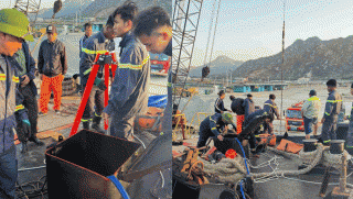 Vụ 3 người tử vong trong hầm tàu ở Ninh Thuận: Nguyên nhân tử vong và tình hình 2 nạn nhân còn sống