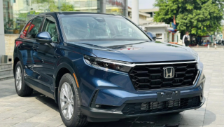 Honda CR-V bản xăng sắp nâng cấp, giá có biến động: Thêm màn hình lớn, đe nẹt CX-5 và Tucson