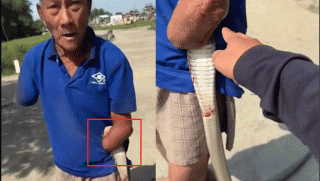 Cụ ông cụt 2 tay bắt rắn: Gia đình hé lộ điều bất ngờ về cụ ông, người trong nghề đưa ra cảnh báo