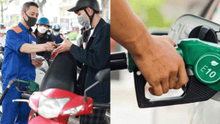 Các doanh nghiệp có đáp ứng được nhu cầu bán xăng sinh học E10 trên toàn quốc từ tháng 4?