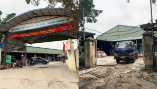 Lò mổ lợn bệnh tiêu thụ khắp trường học ở Hà Nội: Nhân viên tiết lộ thông tin gây ngỡ ngàng