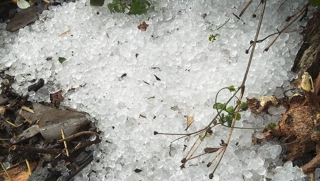 Đêm nay miền Bắc có nguy cơ xuất hiện giông lốc và mưa đá