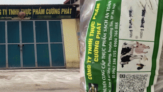 Vụ 300 tấn thịt lợn bệnh đưa vào cả trường học: Công ty Cường Phát vẫn đủ giấy chứng nhận an toàn thực phẩm