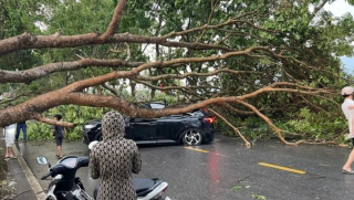 Miền Bắc sắp đón mưa giông, nguy cơ mưa đá từ chiều nay