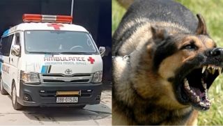 Hà Tĩnh: Nguồn cơn vụ ông lão 83 tuổi bị chó nhà cắn tử vong, trích xuất camera ghi lại gì?