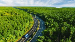 5.000 runners đếm ngược tới ngày 'detox phổi' tại 'mỏ oxy khổng lồ' của TP.HCM