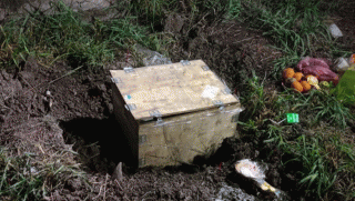 Người dân phát hiện thi thể bé sơ sinh bị bỏ trong khu mộ ở Đồng Tháp: Nguyên nhân khiến bé tử vong