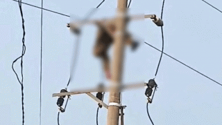 Nghệ An: Người dân sững sờ khi thấy thi thể nam sinh lớp 8 mắc kẹt trên cột điện, nguồn cơn vụ việc?