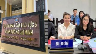 Vụ ly hôn nghìn tỷ dài 10 năm của bác sĩ nổi tiếng TP HCM: Chồng nói phát hiện con gái không chung huyết thống