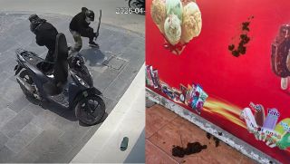 Người phụ nữ ở Nghệ An bị ném phân trâu vào cửa hàng sau khi bị kẻ lạ bịt mặt hành hung