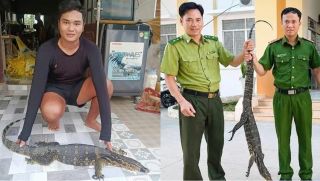 Tây Ninh: Phát hiện loài vật quý hiếm nặng 6,5kg xuất hiện sau nhà dân, toàn thân có ‘ký tự đặc biệt’