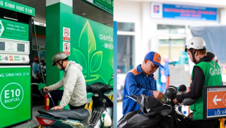 Giá xăng dầu hôm nay 8/6: Xăng E5 và E10 đã giảm hơn 8.000 đồng từ đỉnh, bảng giá Petrolimex, PVOIL