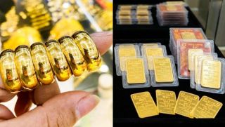 Giá vàng hôm nay 11/6: Vàng nhẫn trơn, vàng miếng, DOJI, PNJ, BTMC bán giá siêu ưu đãi, dân xếp hàng bắt đáy