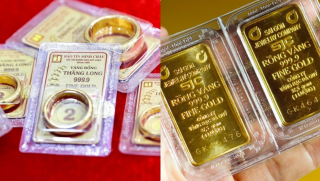 Giá vàng hôm nay sáng 23/6: Vàng SJC nhẫn tròn trơn 9999 bất ngờ tăng kỷ lục, nên chốt lời hay mua thêm?