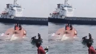 Tàu cá chở 17 thuyền viên bị đâm chìm ngoài khơi tỉnh Lâm Đồng, cập nhật tình hình các nạn nhân