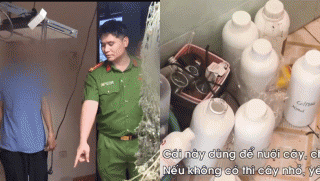 ‘Bóc trần’ loạt bí mật của đường dây trồng, chế biến cần sa ngay giữa thủ đô, lời khai kẻ đứng sau?