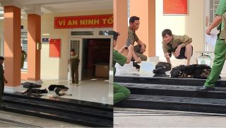 Hai đối tượng nghi trộm chó gặp tai nạn trên đường đưa chó đi bán, liều lĩnh rút súng điện ra đe dọa