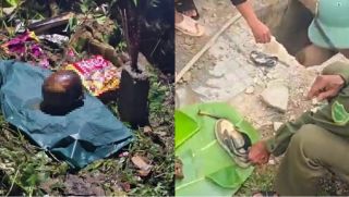 Vụ phát hiện hộp sọ khi dọn cỏ vườn: Đã xác định được danh tính, nạn nhân mất tích gần 1 năm