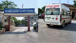 Phát hiện cán bộ tử vong trong tư thế lạ ở trụ sở Sở Nông nghiệp và Môi trường Lào Cai