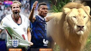 Dự đoán kết quả Pháp vs Anh, 4h ngày 19/7 - Tranh hạng 3 World Cup 2026: Sư tử 'tiên tri' gây sốt