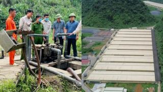 Vụ tai nạn lao động ở trang trại lợn Thanh Hóa: Doanh nghiệp từng nhiều lần bị phản ánh