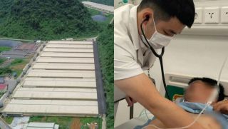 Vụ tai nạn lao động ở trang trại lợn Thanh Hóa: Cập nhật mới nhất về 8 nạn nhân sống sót