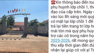 Vì sao hiệu trưởng và tập thể trường mầm non ở Đắk Lắk vẫn được đánh giá tốt dù thu, chi sai quy định