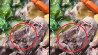 Vụ cỗ tân gia nghi có dòi trong món gà ở Đắk Lắk: Chủ cơ sở nấu tiệc lên tiếng 