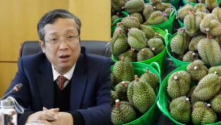 Thứ trưởng cùng loạt cán bộ bị bắt, góc khuất trong cấp mã số vùng trồng sầu riêng được hé mở