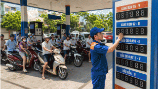 Cập nhật giá xăng dầu hôm nay 10/8 mới nhất: Giá dầu đồng loạt tăng? Giá xăng trong nước giảm sâu