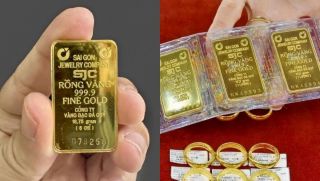 Giá vàng hôm nay 30/8: SJC, nhẫn trơn đồng loạt lao dốc, tuần tới sẽ ra sao?