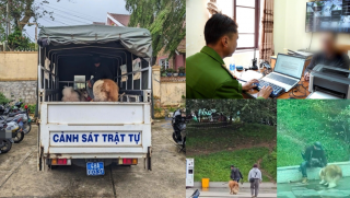 Người đàn ông đánh, lấy gậy chọc chó cảnh ở Quảng trường Lâm Viên giải thích lý do