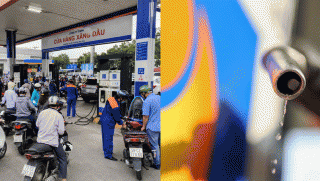 Cập nhật giá xăng dầu hôm nay 28/9 (trưa 28/9): Dầu bật tăng sau khi giảm mạnh? Xăng E5, E10 sắp cán mốc mới?