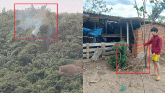 Vụ máy bơi quân sự rơi ở Đắk Lắk: Nam sinh lớp 11 run rẩy khi thấy cảnh mặt phi công bê bét máu