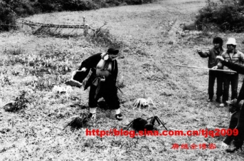 Vạch trần bí mật đàn nhện tinh khổng lồ trong Tây Du Ký 1986, 34 năm qua tất cả chúng ta đã bị lừa ảnh 4