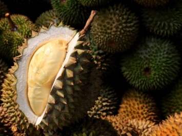 sau-rieng-co-the-giup-sac-dien-thoai-voi-toc-do-cuc-nhanh