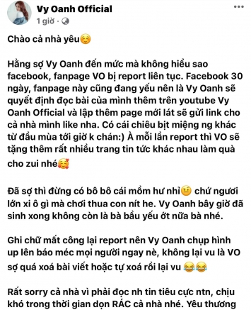 Vy-oanh-tung-bang-chung-vach-tran-chieu-tro-cua-ba-hang-buc-xuc-cong-khai-toan-bo-ke-hoach-sap-toi
