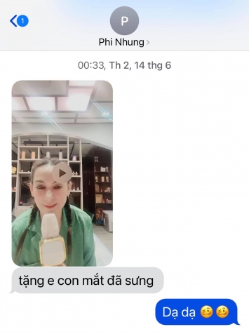 Cong-bo-doan-tin-nhan-rieng-tu-cung-clip-co-ca-si-phi-nhung-khoc-sung-hup-mat-vi-nhung-hieu-nham