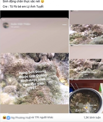 thoat-nhin-tuong-tham-thuc-vat-trong-hang-son-doong-hinh-anh-thuc-te-khien-dan-tinh-nga-ngua-kinh-hai