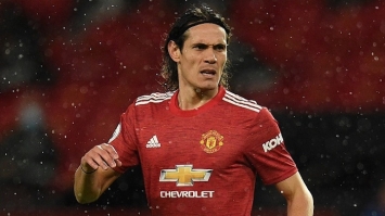 cavani