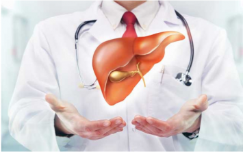Trà bồ công anh có công dụng tốt như thế nào? 3 9 Cách Giúp Bạn Cải Thiện Chức Năng Gan Nhanh Chóng Và Hiệu Quả