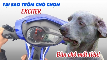 Một hình ảnh về chiếc Yamaha Exciter 150 bị trộm chó nặng tình, có lẽ không được nhìn thấy rất nhiều. Nhưng ngay cả những vụ trộm tưởng chừng không ai kìm được cũng không thể làm chiếc Exciter này mất đi sức hút và vẻ đẹp của nó.