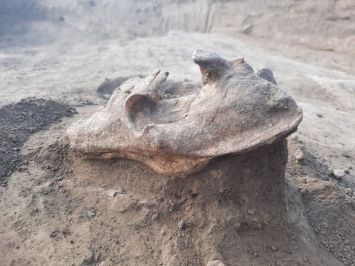 Bí ẩn sau ngôi mộ gần 2.000 năm tuổi: Hài cốt quái thú khổng lồ 'trấn yểm'